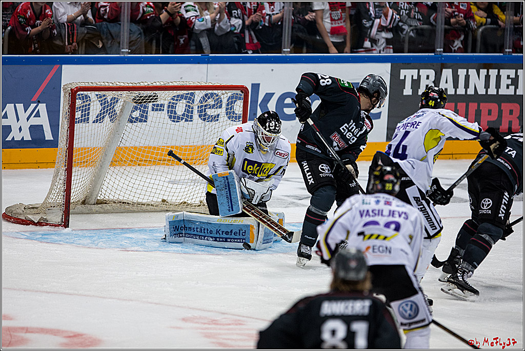 Koelner Haie - Krefeld Pinguine , 23.09.16(KW38)